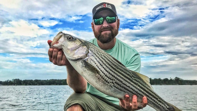 How To Catch Striped Bass In The Summer Wired2fish Com