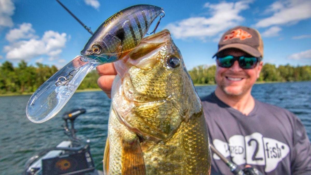 Deep diving crankbaits for bass Clearance