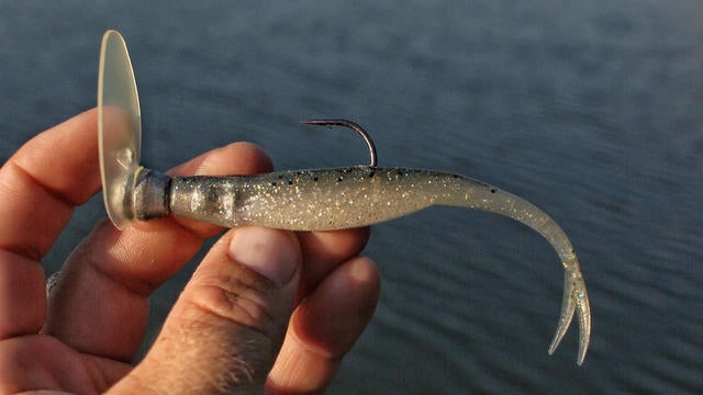 best bait for fluke