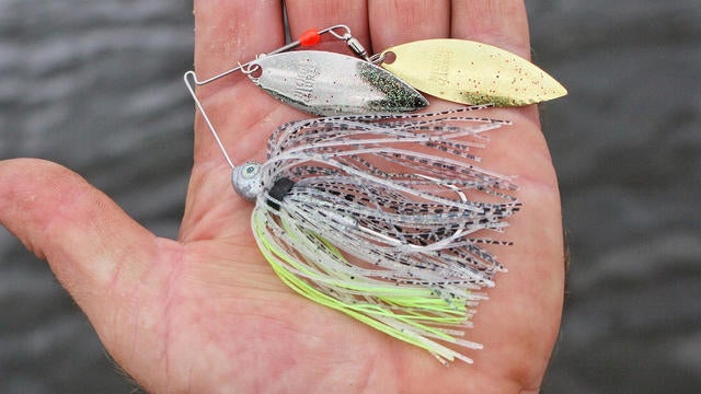 fall bass fishing lures