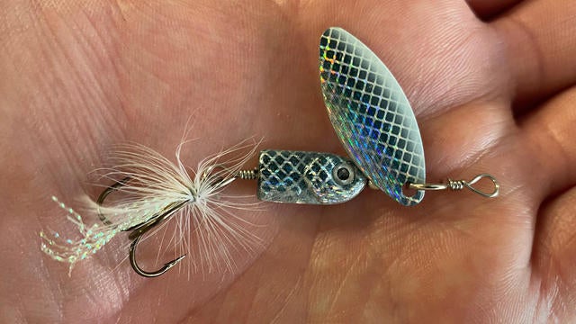 fall bass lures
