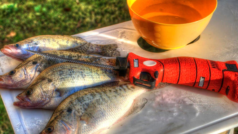 bubba battery powered fillet knife