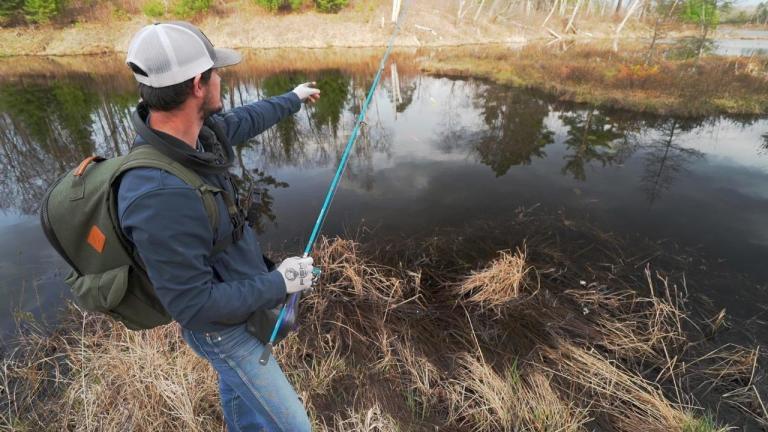 Catch More Spring Panfish with These Bank Fishing Tips - Wired2Fish.com