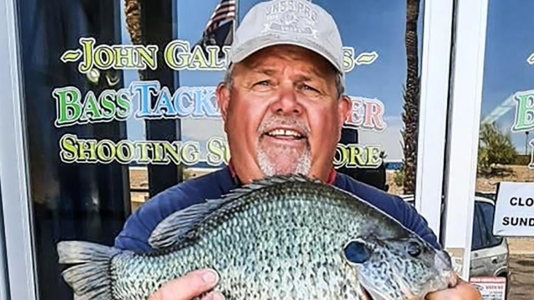 sunfish redear